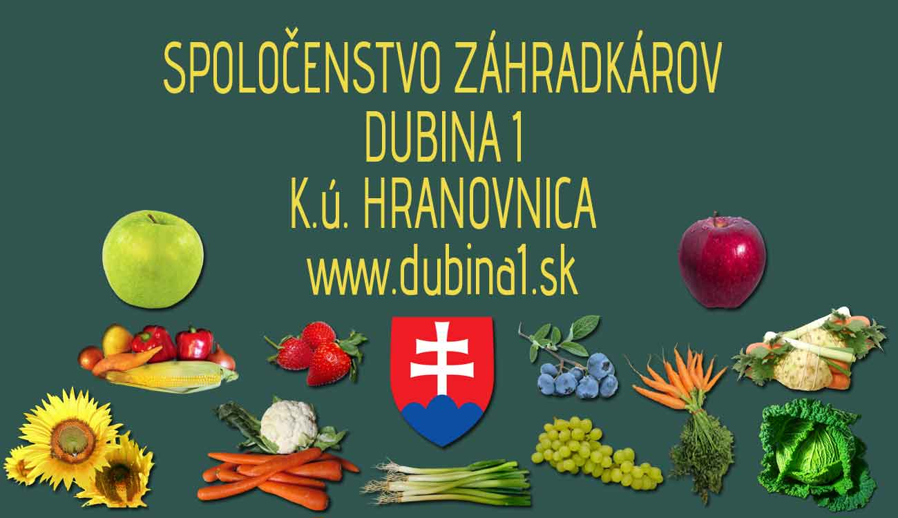 Chatová osada záhradkárov na Dubine.  